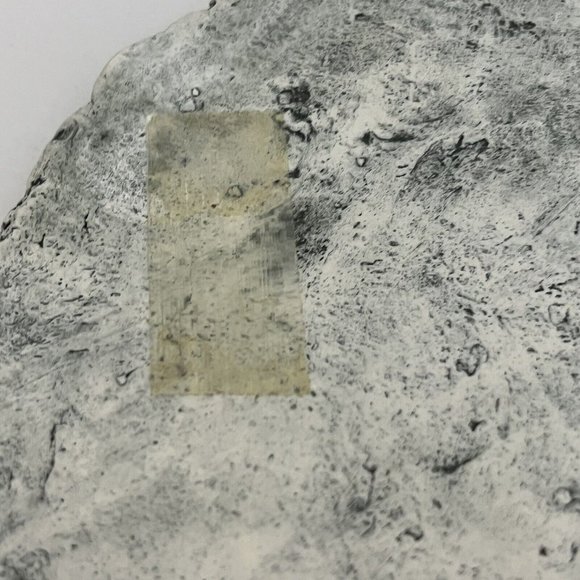 Shapes Of Clay By Stan Langtwait Mount St Helen Ash Native American Chief Joseph - Picture 10 of 16